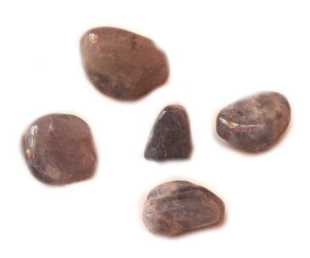 Iolite tumble, 15-20mm