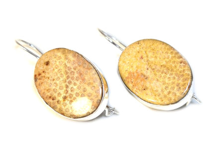 Fossil Jasper cabochon earrings in 925 silver, oval, 37mm