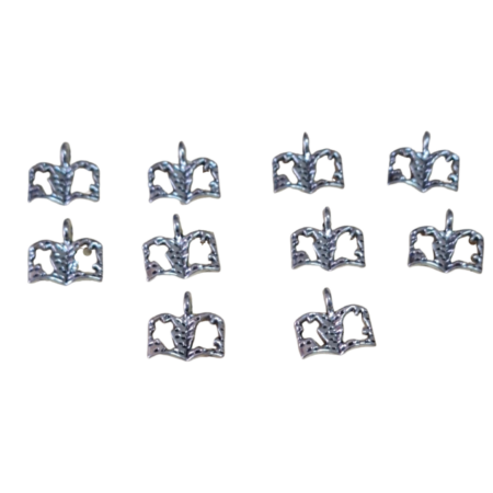 10 x Armour of God charm, Bible, nickel free, 14mm