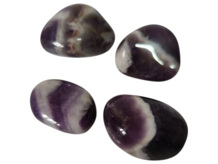Zebra Amethyst medium tumble 2-3.6cm