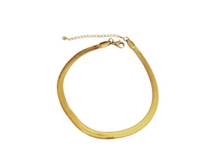 Gold color Blade Chain with lobster clasp ankle bracelet, Stainless steel, 3mm wide, 22.2+5cm