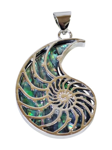 Paua Shell Ammonite Pendant, 53mm including bail