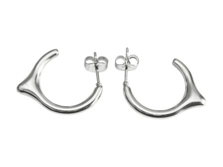 Stainless Steel Waterdrop Hoop Earring, 20x20mm