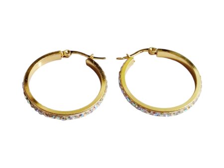Gold Stainless Steel, Round Loop Earrings.