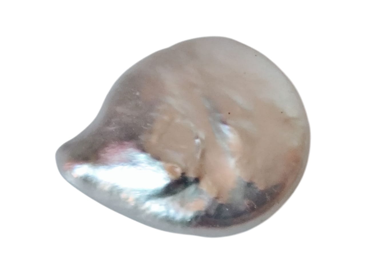 Undrilled Cultured pearl, Button shaped,10-13mm