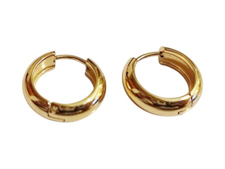 Stainless Steel hoop earrings in gold