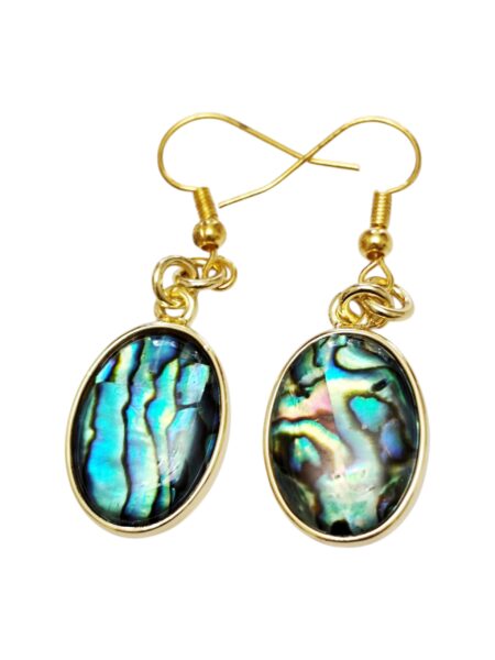 Paua shell earrings