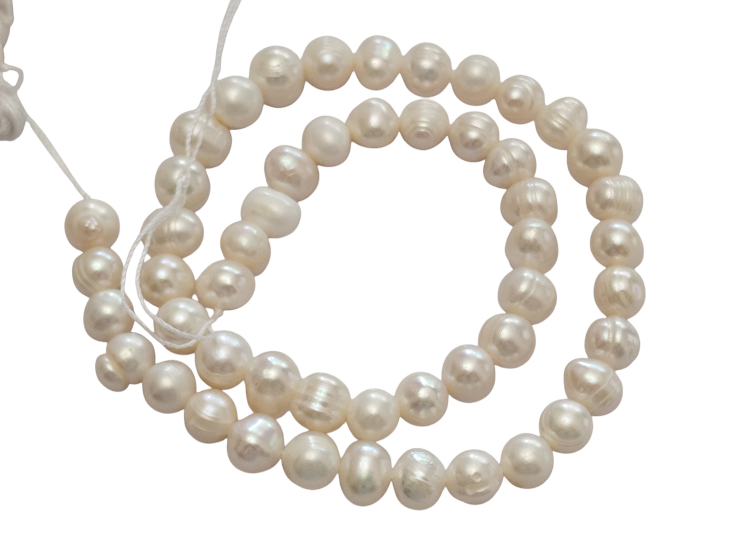 White ringed pearl, Approximately 7-8mm in size, 35 cm - Image 2