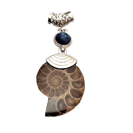 Ammonite Pendant, 7cm