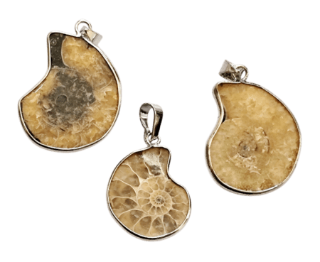 Ammonite Pendant medium size
