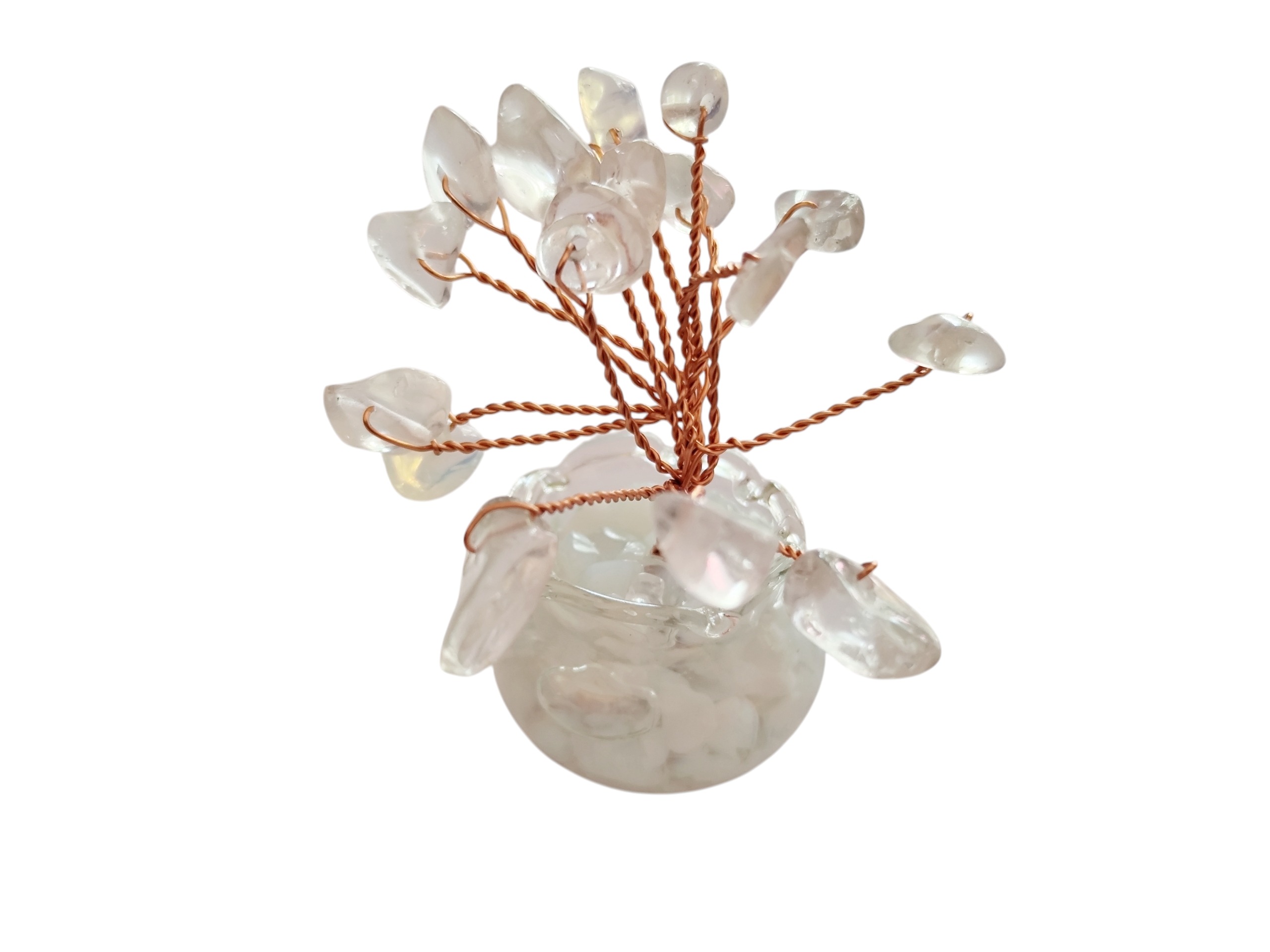 Assorted Small tree in a bottle, Aprox 5cm high - Image 9