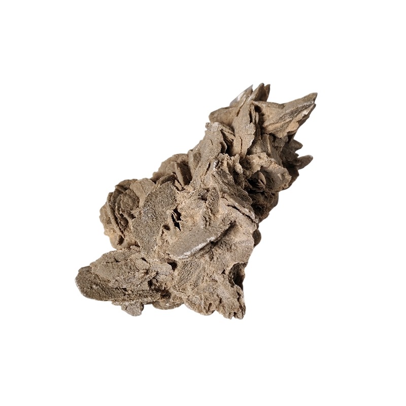 Desert Rose, Namib desert, 16.5cm