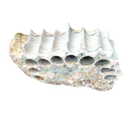 Butter Jade sculptural garden piece, 70x42x17cm