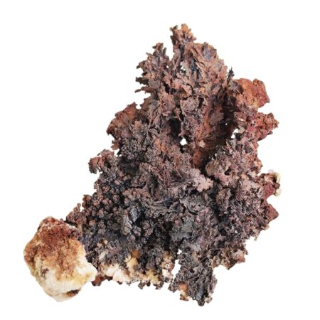 Native copper crystal cluster with dendritic growth habit with small calcite crystals, Onganja, 11 x 3.5 x 14.6cm