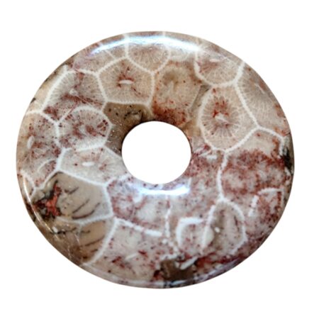 Fossil coral donut, 34mm with 8mm diameter hole
