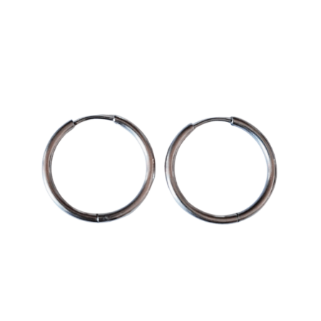 Stainless Steel sleeper earrings, 22mm