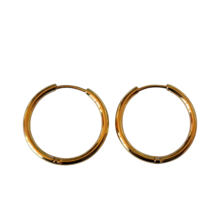 Gold Stainless Steel sleeper earrings, 22mm