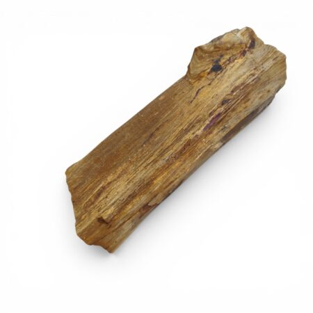 Petrified wood, Namibia, 25cm