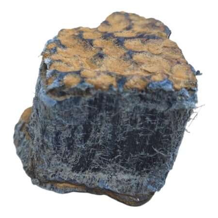 Crocidolite, Northern Cape, 35mm
